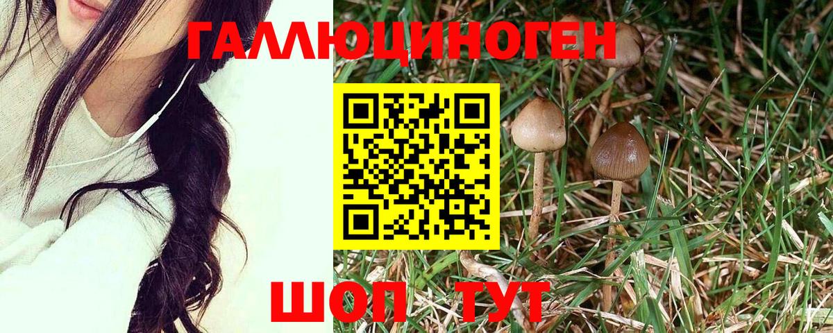 ГАШИШ  КОКАИН  Биробиджан  Бошки Шишки  Вход с VPN  Купить наркоту  Меф МЯУ МЯУ кристаллы  ГАШИШ 
