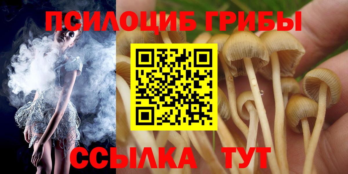 Биробиджан  Псилоцибиновые грибы мухоморы  где найти   Вход с VPN 